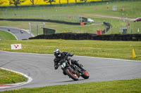 Lower Group Black Bikes